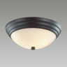 Настенно-потолочный светильник LUMION VINTAGE KAYLA 5263/2C