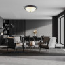 Настенно-потолочный светильник LUMION VINTAGE KAYLA 5263/3C