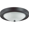 Настенно-потолочный светильник LUMION VINTAGE NINA 5260/2C