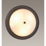Настенно-потолочный светильник LUMION VINTAGE NINA 5260/3C