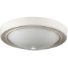 Настенно-потолочный светильник LUMION VINTAGE NINA 5279/2C